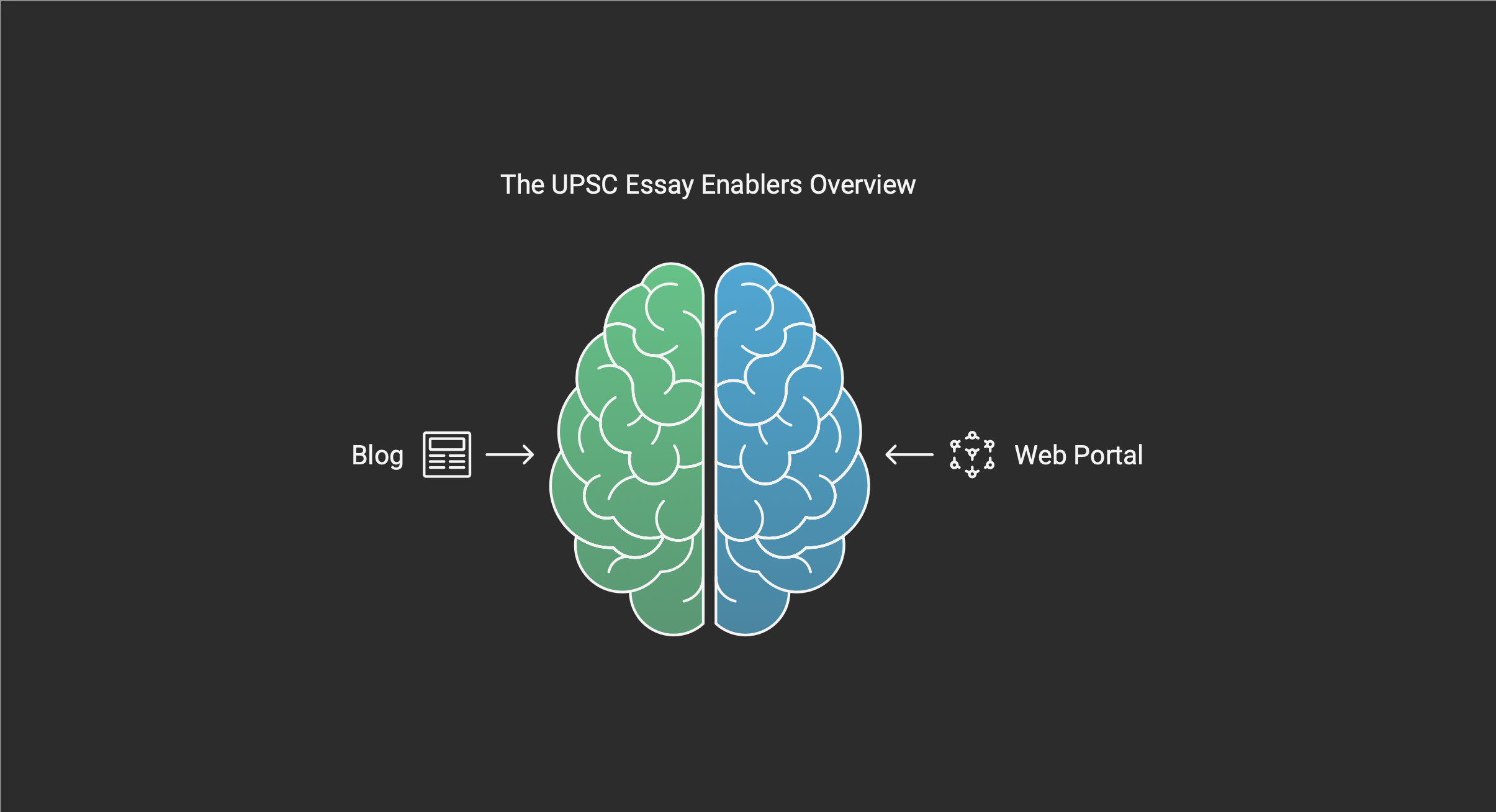 Brain Illustration